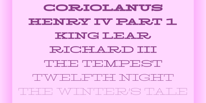 Larga Low Font Poster 3